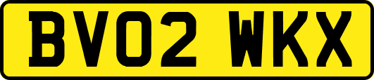 BV02WKX
