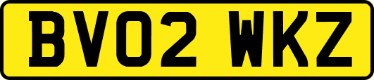 BV02WKZ