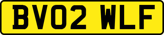 BV02WLF