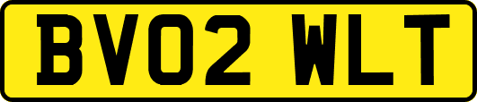 BV02WLT