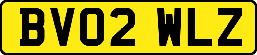 BV02WLZ