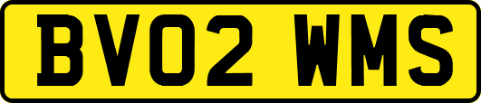 BV02WMS