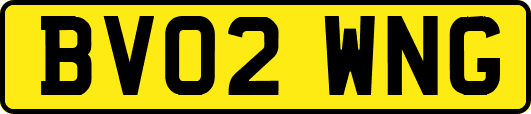 BV02WNG
