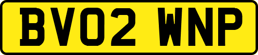 BV02WNP