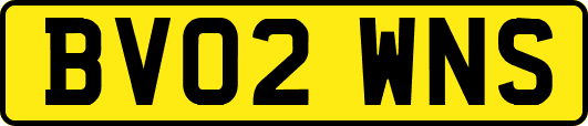 BV02WNS