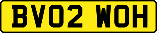 BV02WOH