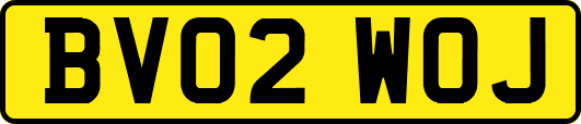 BV02WOJ