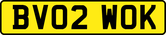BV02WOK