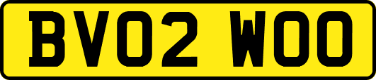 BV02WOO