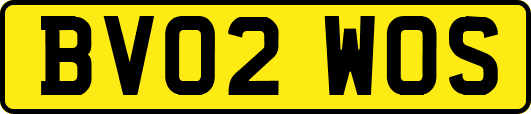 BV02WOS