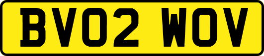 BV02WOV