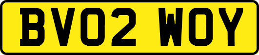 BV02WOY