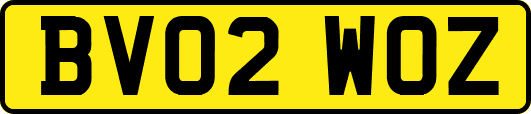 BV02WOZ