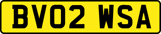 BV02WSA