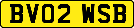 BV02WSB