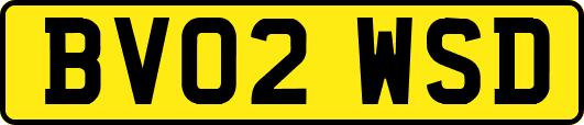 BV02WSD
