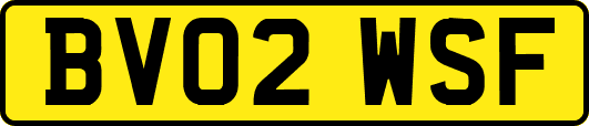 BV02WSF
