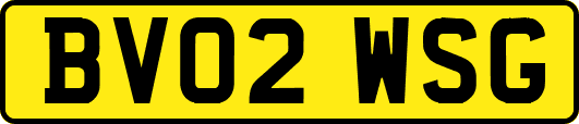 BV02WSG
