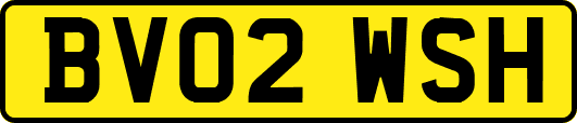 BV02WSH