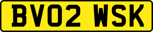 BV02WSK