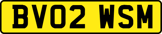 BV02WSM