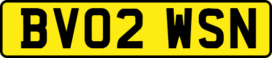 BV02WSN