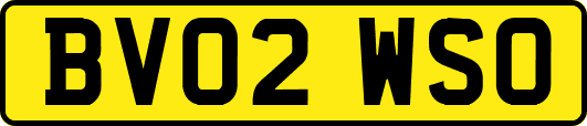 BV02WSO