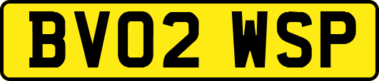 BV02WSP