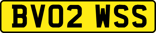 BV02WSS