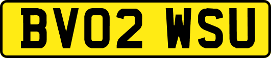 BV02WSU