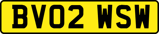 BV02WSW