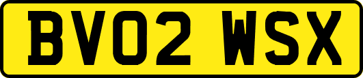 BV02WSX