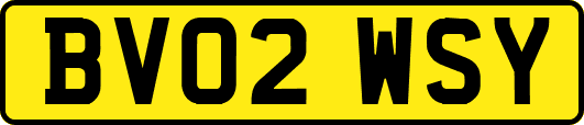 BV02WSY