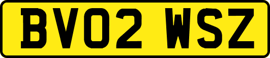 BV02WSZ