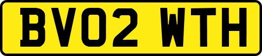 BV02WTH