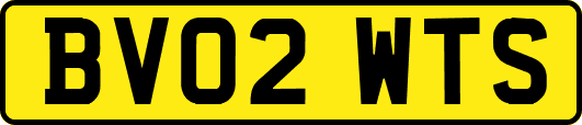 BV02WTS