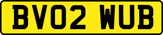 BV02WUB