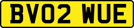 BV02WUE