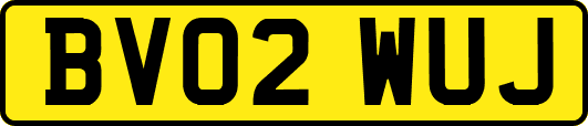BV02WUJ