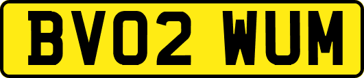 BV02WUM