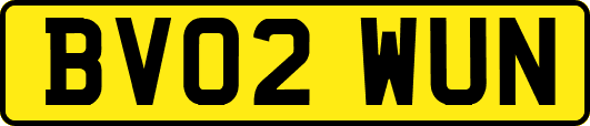 BV02WUN