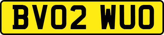 BV02WUO