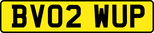 BV02WUP
