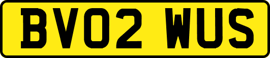 BV02WUS