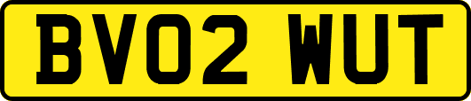 BV02WUT
