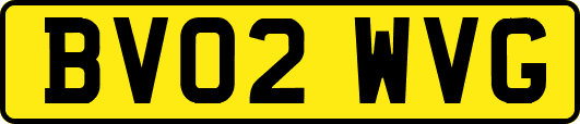 BV02WVG