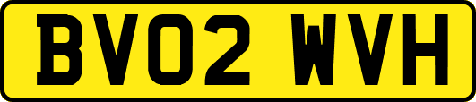 BV02WVH