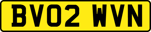 BV02WVN