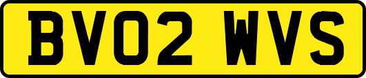 BV02WVS