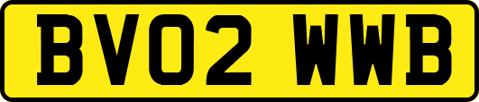 BV02WWB